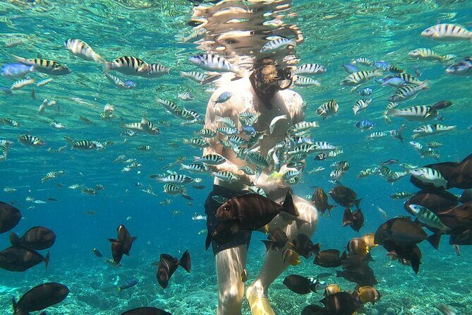 Private Snorkeling from Nusa Penida - Manta Bay: the main target and how guides find them