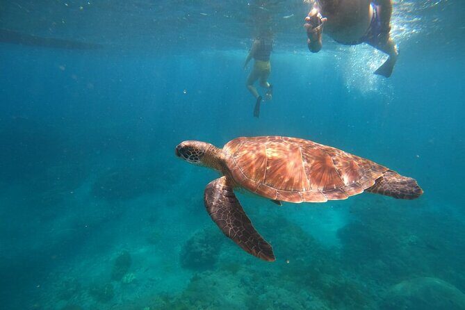 Private Snorkeling in Manta Bay, Gamat Bay & Wall at Nusa Penida - Key highlights you’ll feel right away