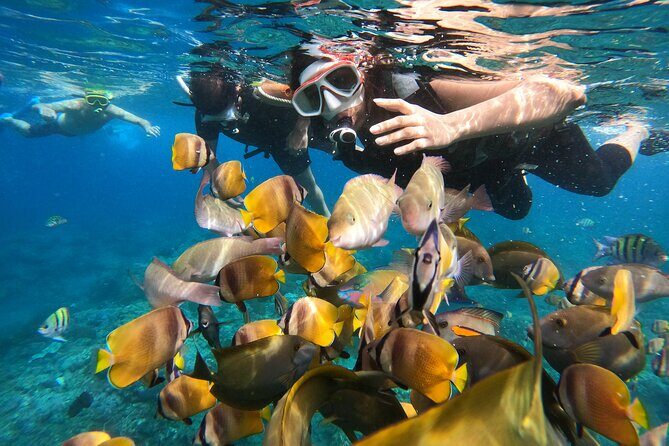 Private Snorkeling in Manta Bay, Gamat Bay & Wall at Nusa Penida - How the timing really works: 6 hours total, about 2 in the water