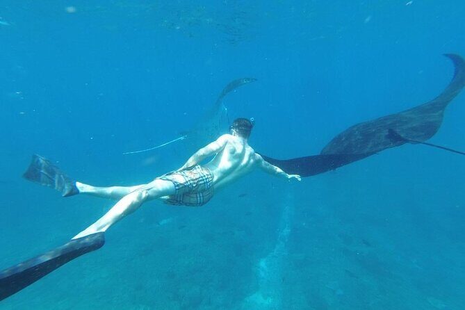 Private Snorkeling in Manta Bay, Gamat Bay & Wall at Nusa Penida - The step-by-step flow on the day
