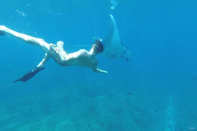 Private Snorkeling in Manta Bay, Gamat Bay & Wall at Nusa Penida - Lunch at the harbor: included, Indonesian, and well-timed