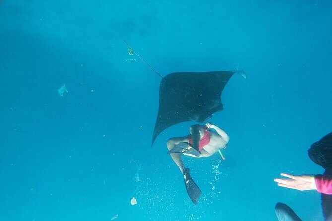 Private Snorkeling in Manta Bay, Gamat Bay & Wall at Nusa Penida - Who should book this (and who might want a different plan)