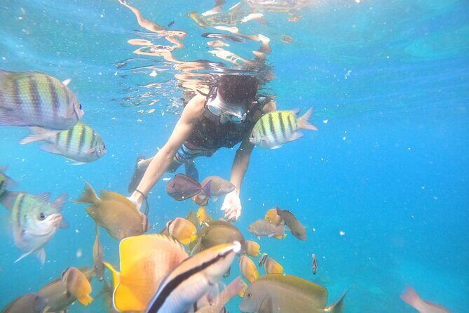 Private Snorkeling in Manta Bay, Gamat Bay & Wall at Nusa Penida - The private boat setup: less stress, more watching