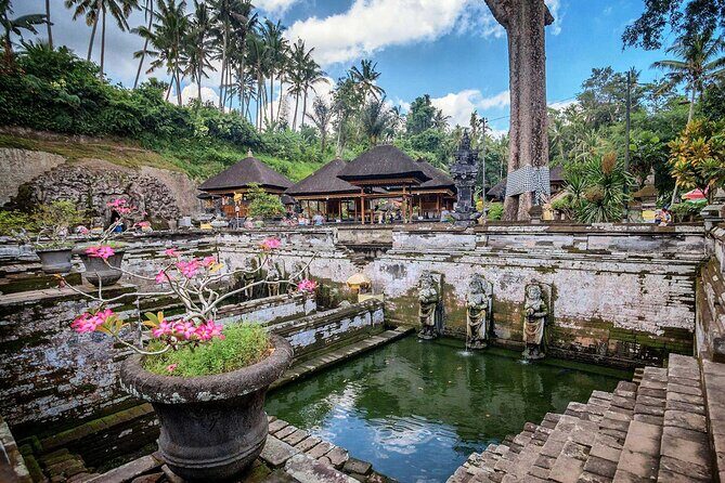 Private Tour : Bali Best Waterfalls, Temples and Monkey Forest - Sangeh Monkey Forest: Sanctuary Energy and Real Close Encounters