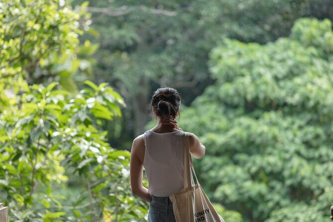 Private Tour : Bali Best Waterfalls, Temples and Monkey Forest - Price and Value: Does $55 Make Sense for This Day?