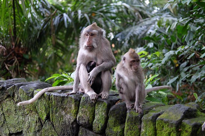 Private Tour: Bali in a Day - What you pay and what that gets you in one long day