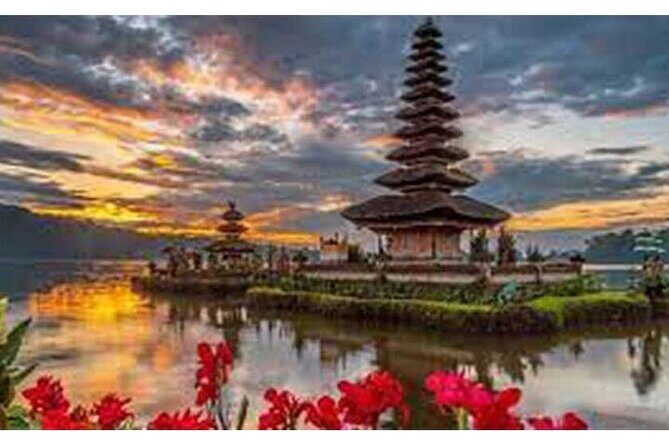 Private Tour Bali Swing & Visiting Temples in Bali - Price and what you actually get for $42