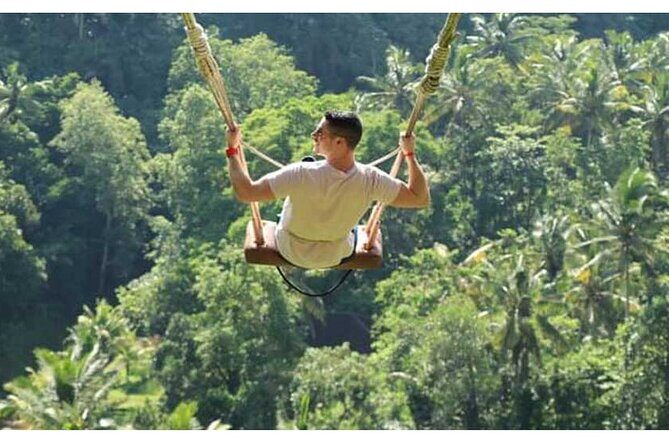 Private Tour Bali Swing & Visiting Temples in Bali - Taman Ayun Temple near Mengwi: the garden-temple mood