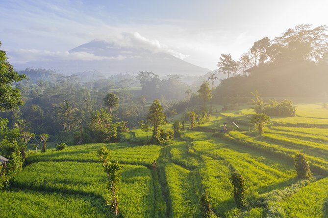 Private Tour: Bali Temple and Countryside Tour - Ulun Danu Bratan Temple: The Lake-Temple You See on Postcards