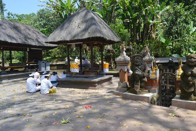 Private Tour: Bali Temple and Countryside Tour - The Private-Guide Advantage (Especially on a Long Day)