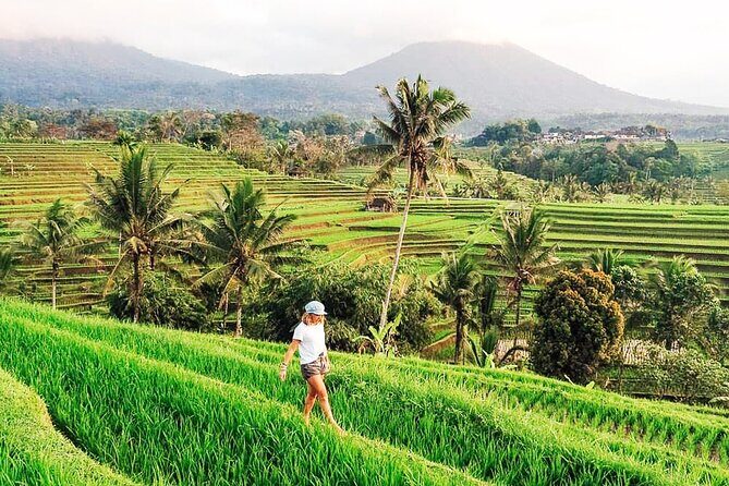 Private Tour: Bali UNESCO World Heritage Sites - Tanah Lot Temple at Golden Hour: Sea Temple Drama for the Late Day