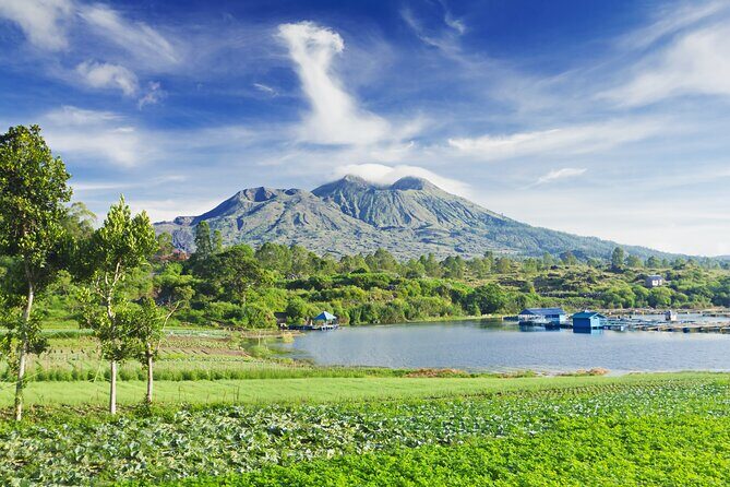 Private Tour: Bali Volcano with Jungle Swing Experience - d’Alas Bali Swing: the photo moment with jungle air