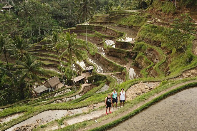 Private Tour: Bali Volcano with Jungle Swing Experience - Gunung Kawi Sebatu Temple: quiet ponds and a slower pace