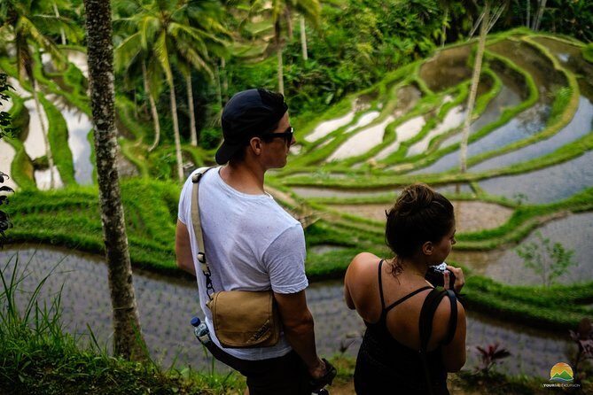 Private Tour: Balinese Culture and Scenery (visit ubud area) - How This Private Ubud Day Runs (8:00 Start, Up to 15)
