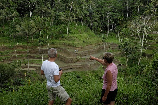 Private Tour: Balinese Culture and Scenery (visit ubud area) - Tegenungan Waterfall (Plus Alternatives): Pick Your Water Power