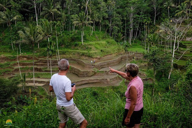 Private Tour: Balinese Culture and Scenery (visit ubud area) - Practical Tips That Make the Day Easier