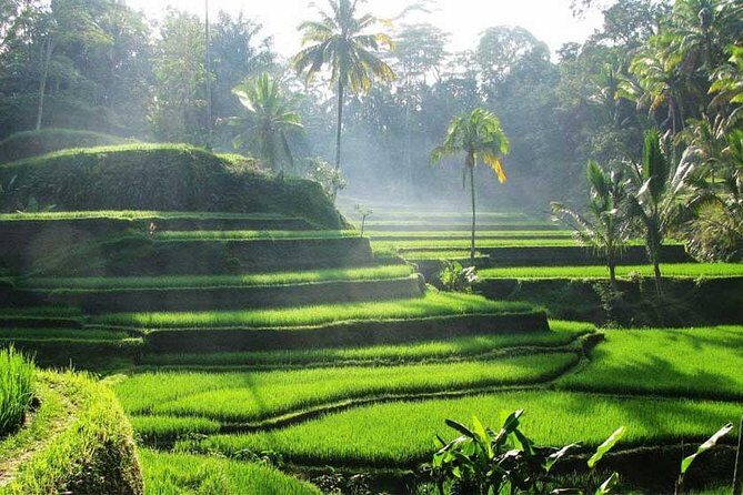 Private Tour: Batuan Temple, Tegenungan Waterfall, Elepahant Cave Free transport - Stop 6 and 7: Ubud art market and Mas wood carving center