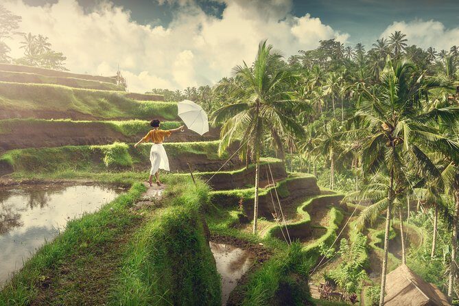 Private Tour: Best of Bali - All Inclusive Tickets - Pickup, timing, and how the day actually flows