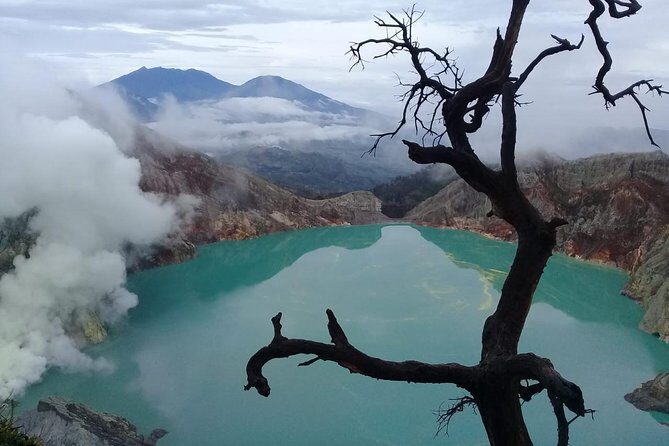 Private Tour : Bromo Ijen Tour From Bali - Key takeaways before you book