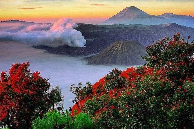 Private Tour : Bromo Ijen Tour From Bali - Day 2 at Mount Ijen: the blue-flame hike, gas mask, and a real early start
