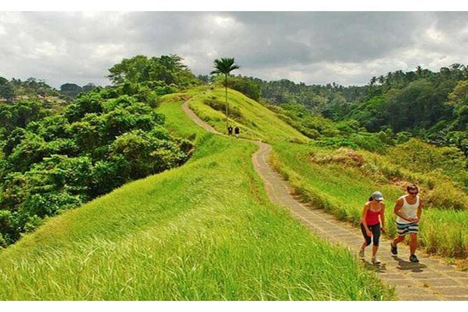 Private Tour: Campuhan Ridge Walk, Ubud Rice Terrace & Ubud Palace - Key highlights worth your attention