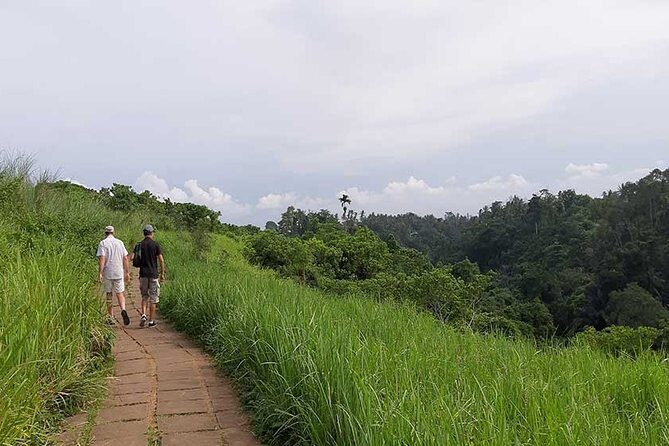 Private Tour: Campuhan Ridge Walk, Ubud Rice Terrace & Ubud Palace - The 8:00 am rhythm: why mornings make Ubud feel easier