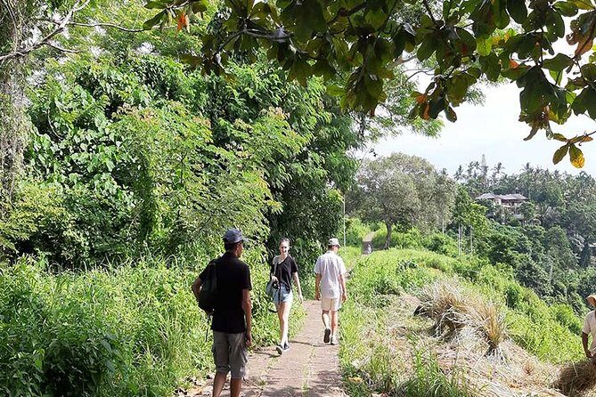 Private Tour: Campuhan Ridge Walk, Ubud Rice Terrace & Ubud Palace - Price and logistics: why this $25 day can be a good deal