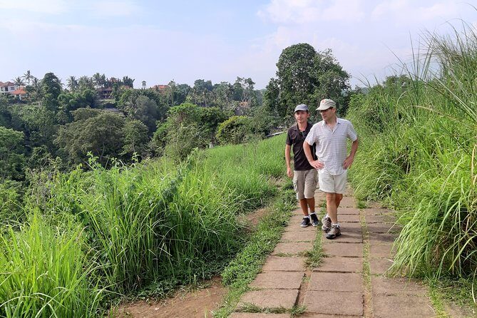 Private Tour: Campuhan Ridge Walk, Ubud Rice Terrace & Ubud Palace - Your driver-guide experience: the English level and photo help matter