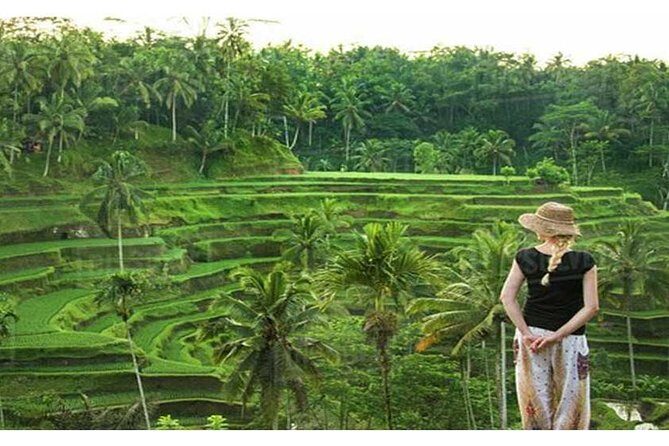 Private Tour: Campuhan Ridge Walk, Ubud Rice Terrace & Ubud Palace - Who this private tour fits best (and who might want something else)