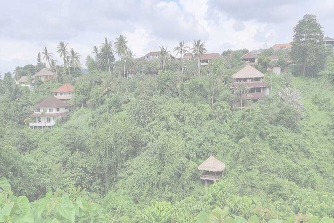 Private Tour: Campuhan Ridge Walk, Ubud Rice Terrace & Ubud Palace - Ceking Rice Terrace: terraced-paddy views without the detour pain