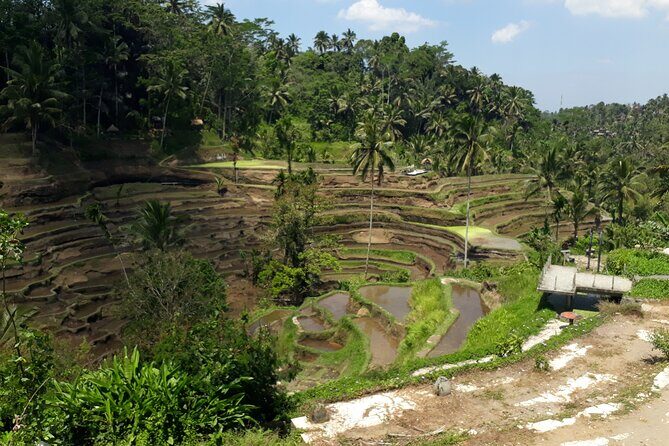 Private tour in Ubud country side - Ubud Palace and town-center culture you can actually absorb
