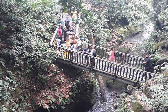 Private tour in Ubud country side - Tegalalang Rice Terrace: timing for photos and a breather