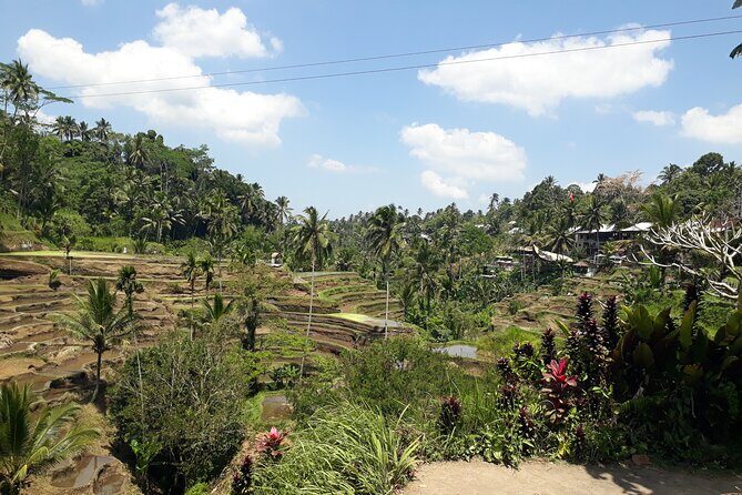 Private tour in Ubud country side - Sacred Monkey Forest Sanctuary: temples, shade, and a little chaos (in a good way)