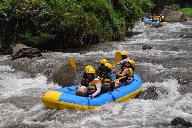 Private Tour Rafting Uluwatu Kecak Dance Sunset and Dinner in Jimbaran Bay - Driver/guide touches that matter more than you think