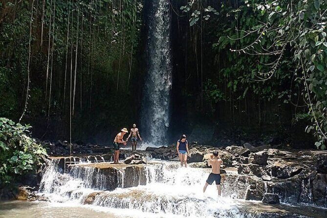 Private Tour to Sumampan Waterfall, Monkey forest, Rice terraces and Swing - Sacred Monkey Forest Sanctuary: Fun, But Manage Your Behavior