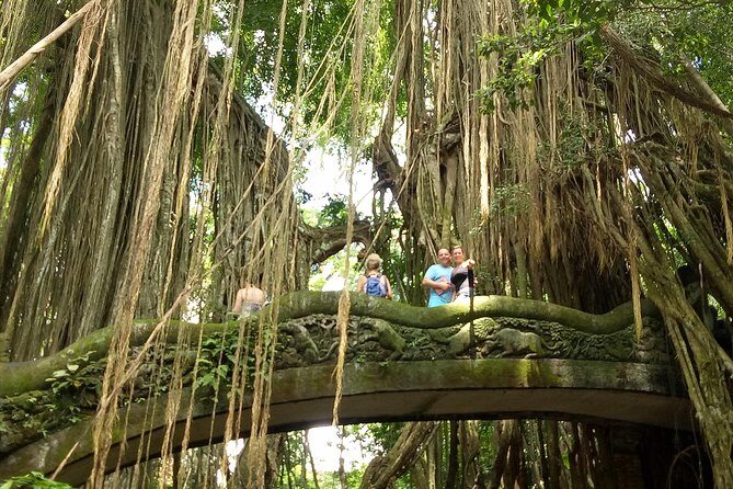 Private Tour to Sumampan Waterfall, Monkey forest, Rice terraces and Swing - Sumampan Waterfall: Nature Time That Doesn’t Feel Like a Grind
