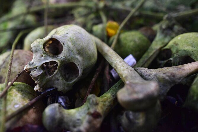 Private Tour to Trunyan Village "Skull Island of Bali" - Why Trunyan’s open cemetery is so moving