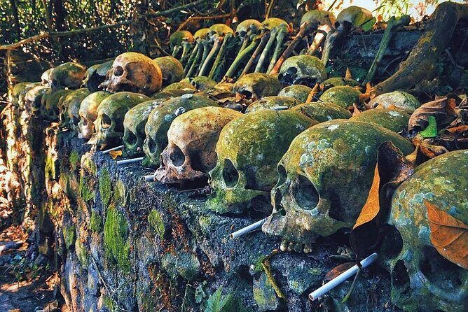 Private Tour to Trunyan Village "Skull Island of Bali" - Trunyan Cemetery visit: what you’ll actually do there