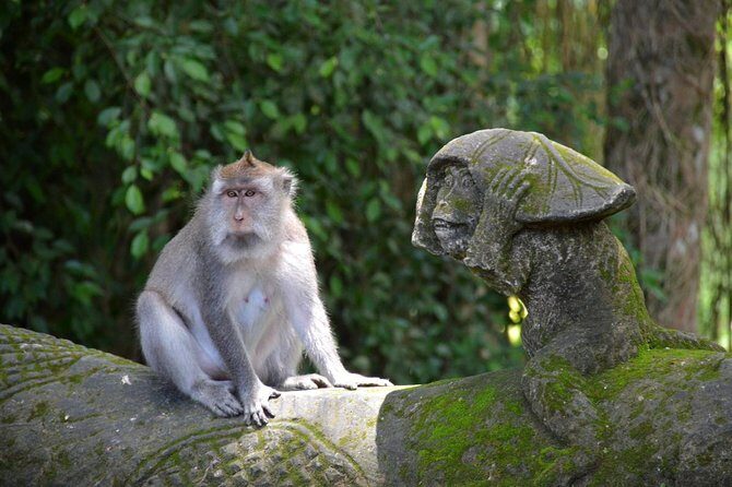 Private Tour: Ubud Day Tour with Traditional Offering Lesson - Lunch by rice fields: a break that keeps momentum