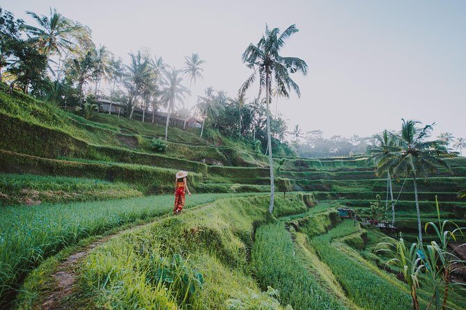 Private Tour: Ubud Highlights - Price and value: what $56.42 really covers
