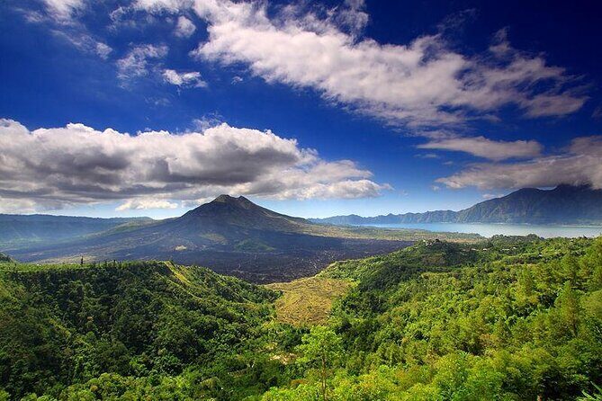 Private Tour - Ubud Kintamani Tours - Key highlights that make this day work