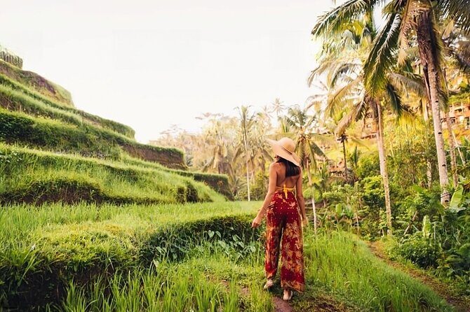 Private Tour Ubud: Swing at Rice Field with Temple and Waterfall - A Private Ubud Day with Swing, Temples, Rice Terraces, and a Waterfall