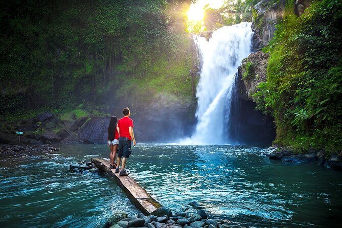 Private Tour: Waterfall, Kintamani Volcano, Ubud Tour with Lunch - Key highlights worth planning for