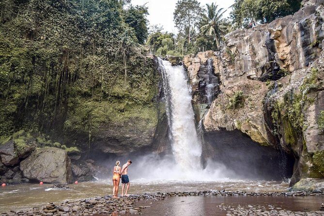 Private Ubud and Volcano Day Trip - Stop 4: Tegalalang Rice Terrace and the Subak Water System