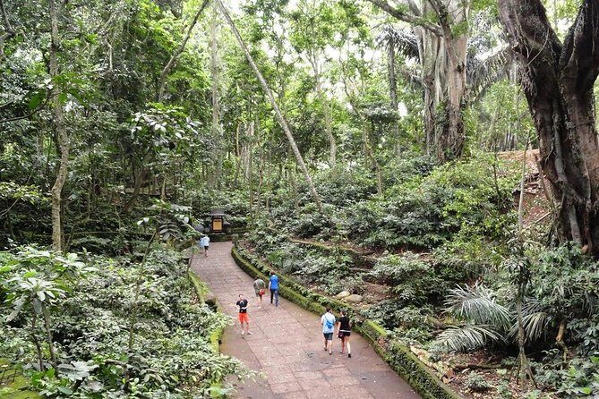 Private Ubud Day Tour - Tegalalang Rice Terrace: how to get the best views in an hour