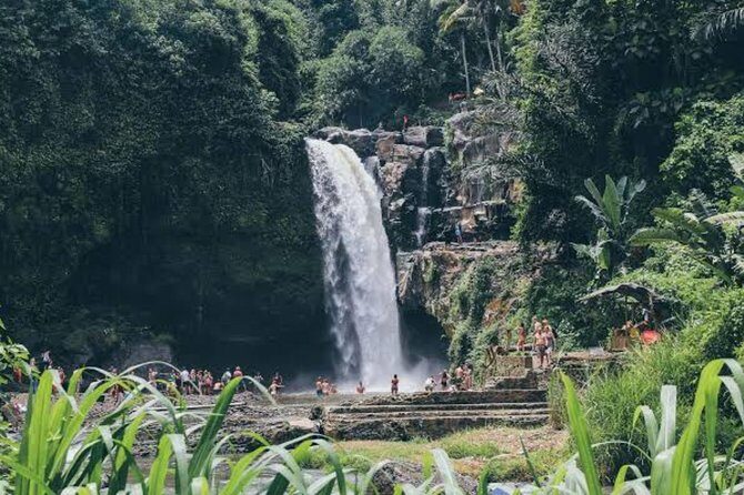 Private Ubud Day Tour - Tegenungan Waterfall: the swim moment (and what to bring)