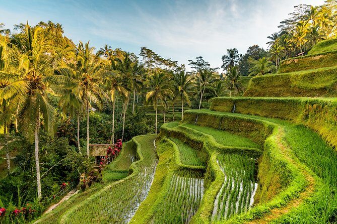 Private Ubud Day Tour - Who should book this Ubud day tour (and who might not)