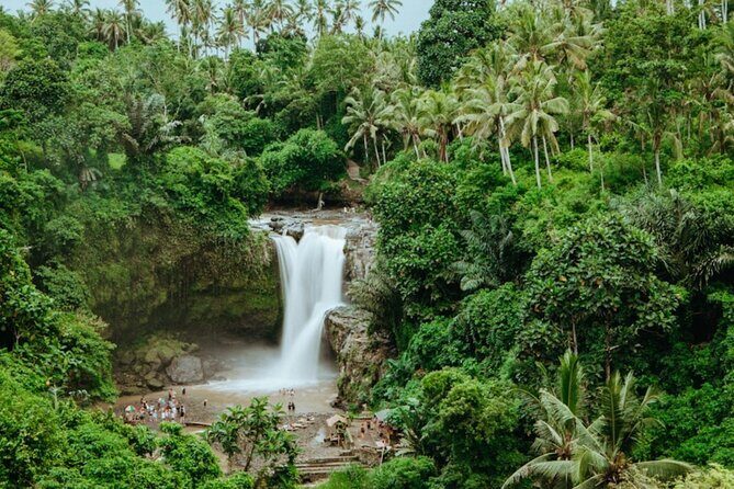 Private Ubud Day Tour Waterfalls Sacred Monkeys and Rice Fields - Tegalalang Rice Terraces: views, paths, and rice farming context