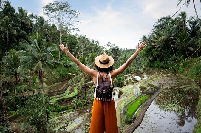 Private Ubud Day Tour Waterfalls Sacred Monkeys and Rice Fields - Price and logistics: why the $27 figure can make sense