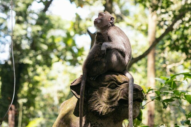 Private Ubud Day Tour Waterfalls Sacred Monkeys and Rice Fields - Barong Dance & Fire Dance: theatre with meaning, not just costumes